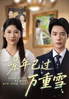 免费在线观看《景年已过万重雪》
