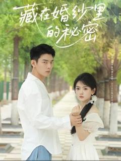 免费在线观看《藏在婚纱里的秘密》