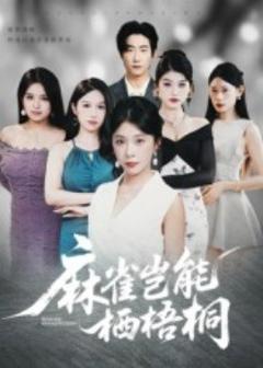 免费在线观看《麻雀岂能栖梧桐》
