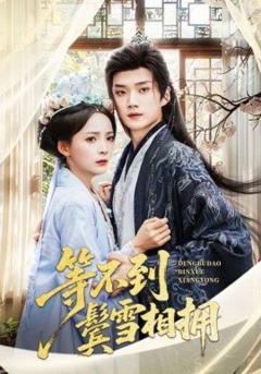 免费在线观看《等不到鬓雪相拥》