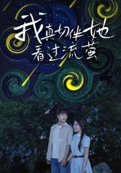 免费在线观看《我真切伴她看过流萤》