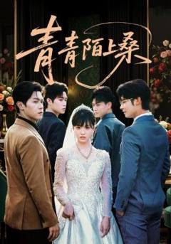免费在线观看《青青陌上桑》
