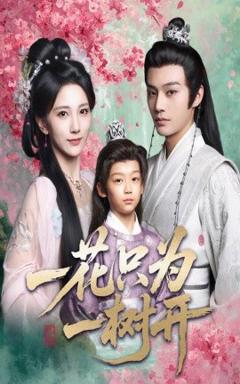 免费在线观看《一花只为一树开》