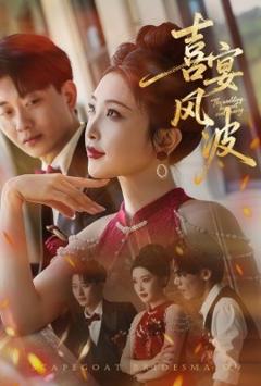 免费在线观看《喜宴风波替罪伴娘》