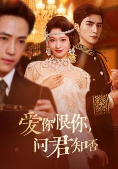 免费在线观看《爱你恨你问君知否》