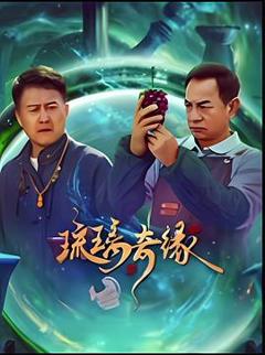 免费在线观看《琉璃奇缘》