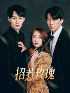 免费在线观看《招惹玫瑰》