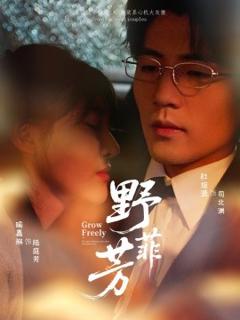 免费在线观看《野芳菲》