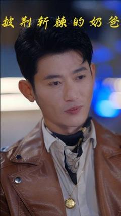 免费在线观看《披荆斩棘的奶爸》