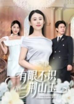 免费在线观看《有眼不识荆山玉》