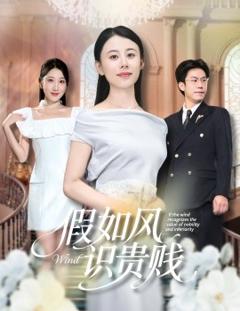 免费在线观看《假如风识贵贱》