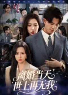 免费在线观看《离婚当天世上再无我》