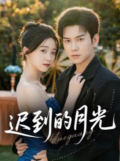 免费在线观看《迟到的月光》