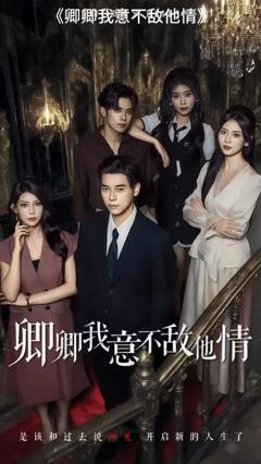 免费在线观看《卿卿我意不敌他情》