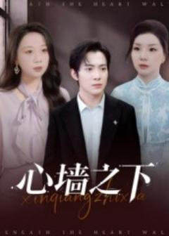 免费在线观看《心墙之下》