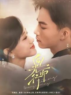 免费在线观看《向光而行》