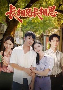 免费在线观看《长相见长相思》
