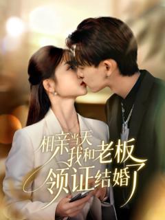 免费在线观看《相亲当天我和老板领证结婚了》