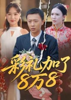 免费在线观看《彩礼加了8万8》