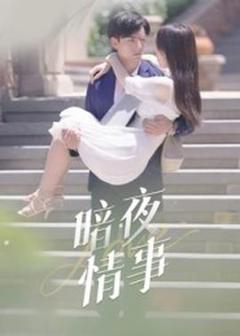免费在线观看《暗夜情事》
