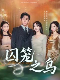 免费在线观看《囚笼之鸟》