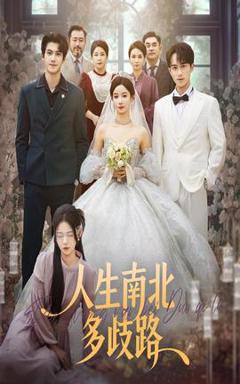 免费在线观看《人生南北多歧路》