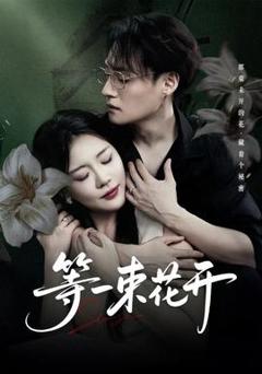 免费在线观看《等一束花开》