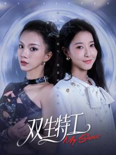 免费在线观看《双生特工》