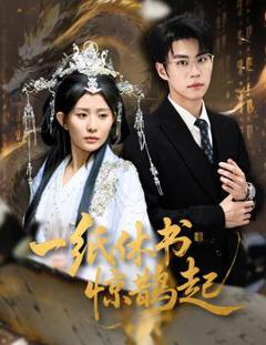 免费在线观看《一纸休书惊鹊起》