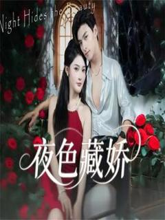 免费在线观看《夜色藏娇》