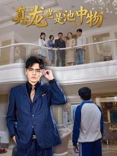 免费在线观看《真龙岂是池中物》