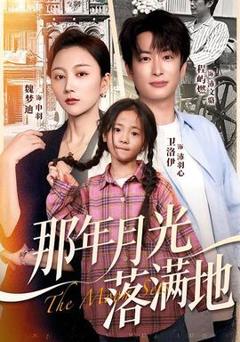 免费在线观看《那年月光落满地》