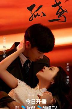 免费在线观看《孤鸢》