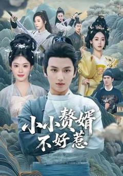免费在线观看《小小赘婿不好惹》
