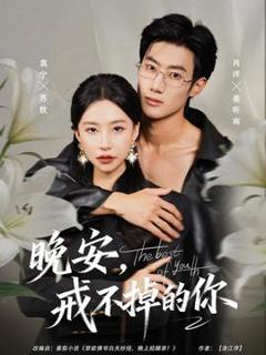 免费在线观看《晚安，戒不掉的你》