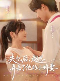 免费在线观看《失忆后，赵总弄丢了他的小娇妻》