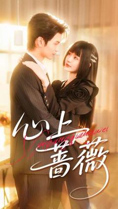 免费在线观看《心上蔷薇》