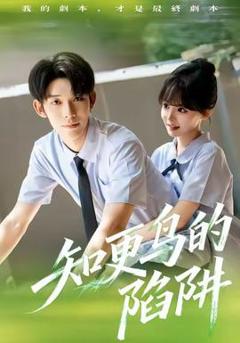 免费在线观看《知更鸟的陷阱》