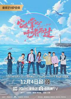 免费在线观看《它在掌心，呼啸而过》