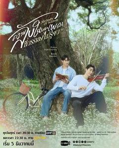 免费在线观看《觅密悬律》