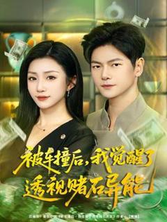 免费在线观看《被车撞后，我觉醒了透视赌石异能》