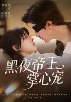 黑夜帝王掌心宠