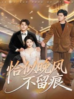 免费在线观看《恰似晚风不留痕》