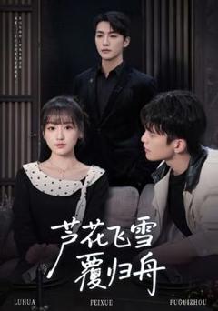 免费在线观看《芦花飞雪覆归舟》