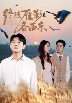 免费在线观看《终随雁影各西东》