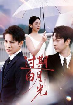 免费在线观看《过期白月光》