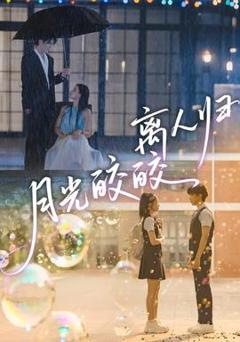 免费在线观看《月光皎皎离人归》