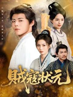 免费在线观看《贼寇状元》