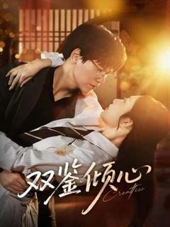 免费在线观看《双鉴倾心》