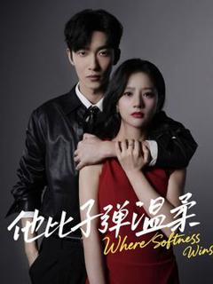 免费在线观看《他比子弹温柔》